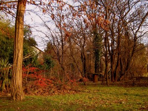 Oktobar